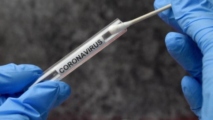 Corona Virus
