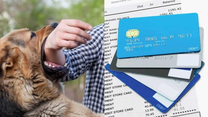 Credit Cards