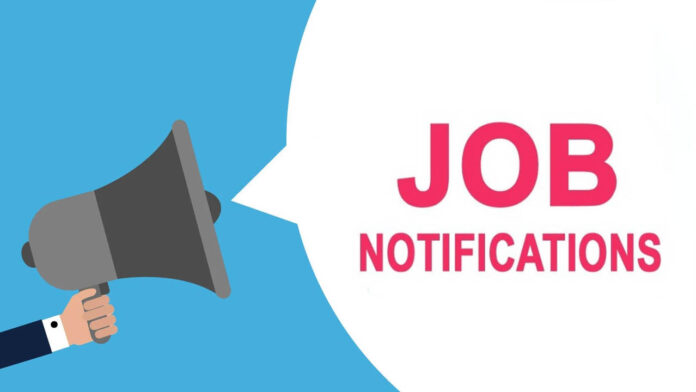 Job alerts |