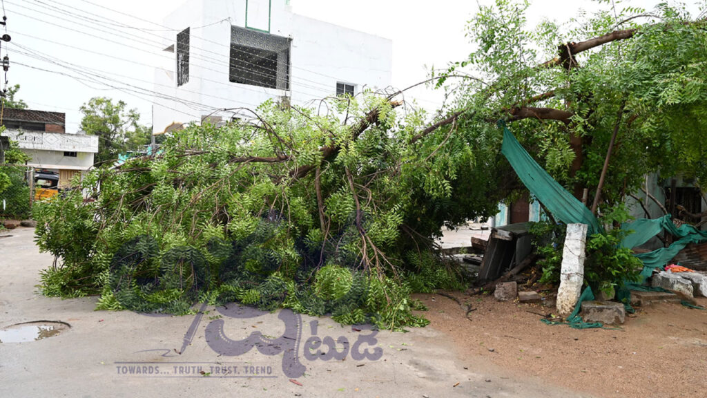 Strong Winds Heavy Rain| విరిగిన చెట్లు.. నేలకొరిగిన స్తంభాలు.. ఈదురుగాలులతో భారీ నష్టం