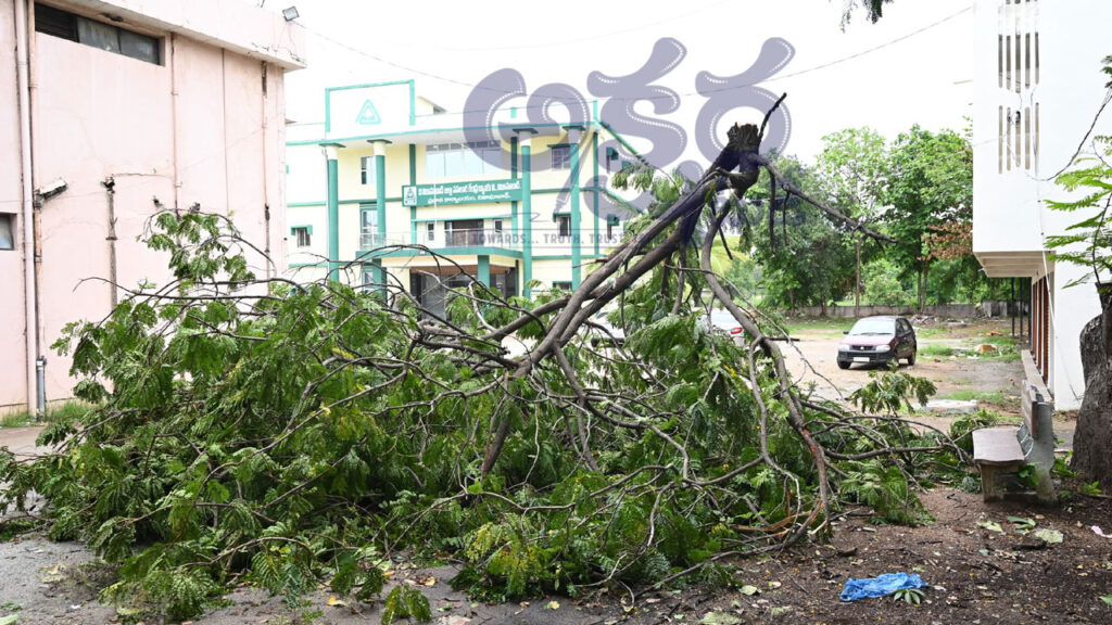 Strong Winds Heavy Rain| విరిగిన చెట్లు.. నేలకొరిగిన స్తంభాలు.. ఈదురుగాలులతో భారీ నష్టం