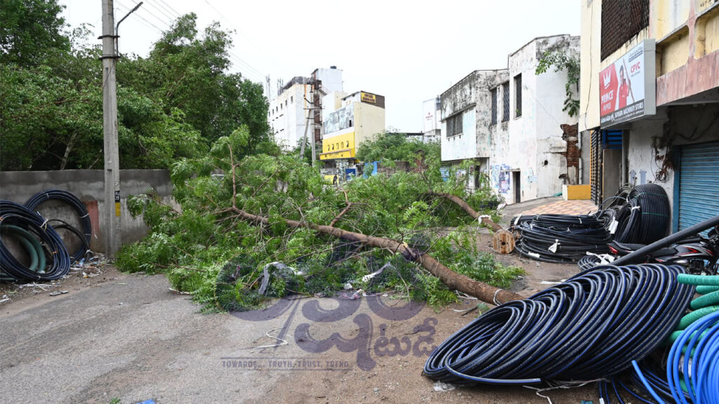 Strong Winds Heavy Rain| విరిగిన చెట్లు.. నేలకొరిగిన స్తంభాలు.. ఈదురుగాలులతో భారీ నష్టం