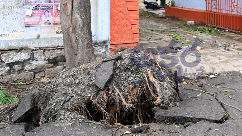 Strong Winds Heavy Rain| విరిగిన చెట్లు.. నేలకొరిగిన స్తంభాలు.. ఈదురుగాలులతో భారీ నష్టం