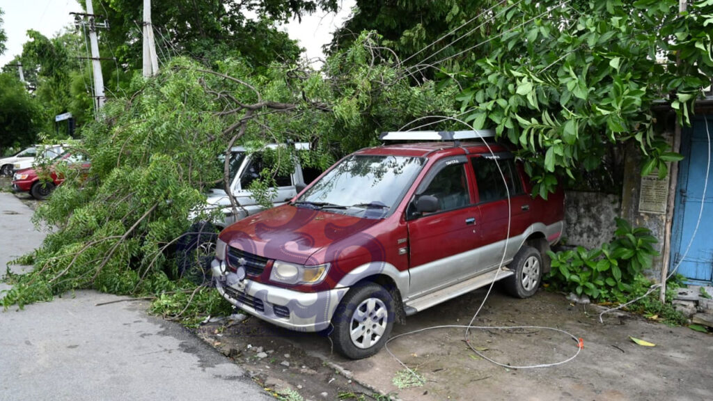 Strong Winds Heavy Rain| విరిగిన చెట్లు.. నేలకొరిగిన స్తంభాలు.. ఈదురుగాలులతో భారీ నష్టం