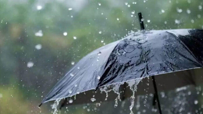 Rain Forecast