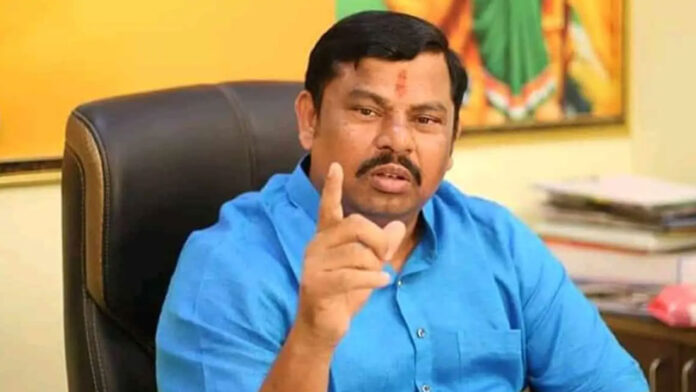 Raja Singh