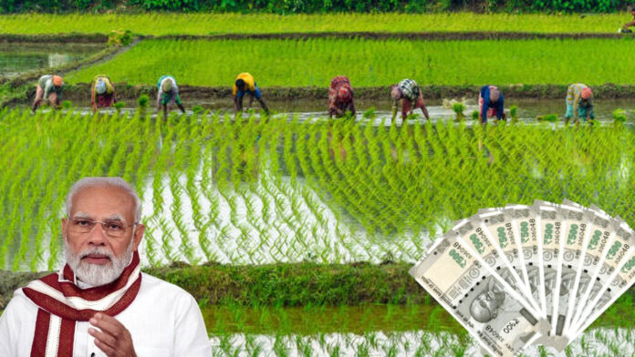 PM Kisan