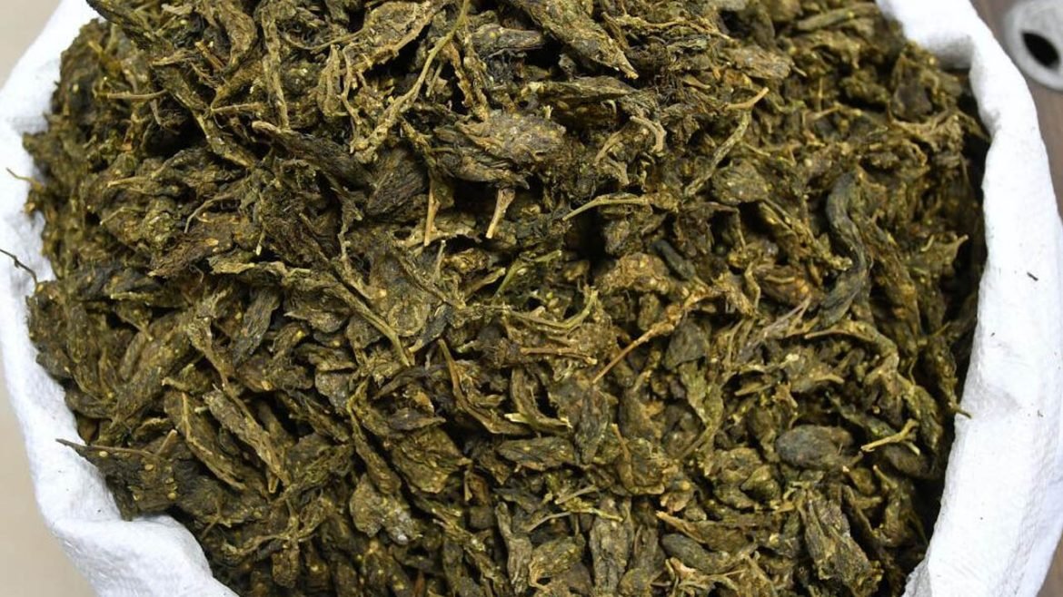 Mangalagiri | తండ్రి ఫిర్యాదుతో కొడుకుపై గంజాయి కేసు నమోదు.. ఎక్కడంటే..