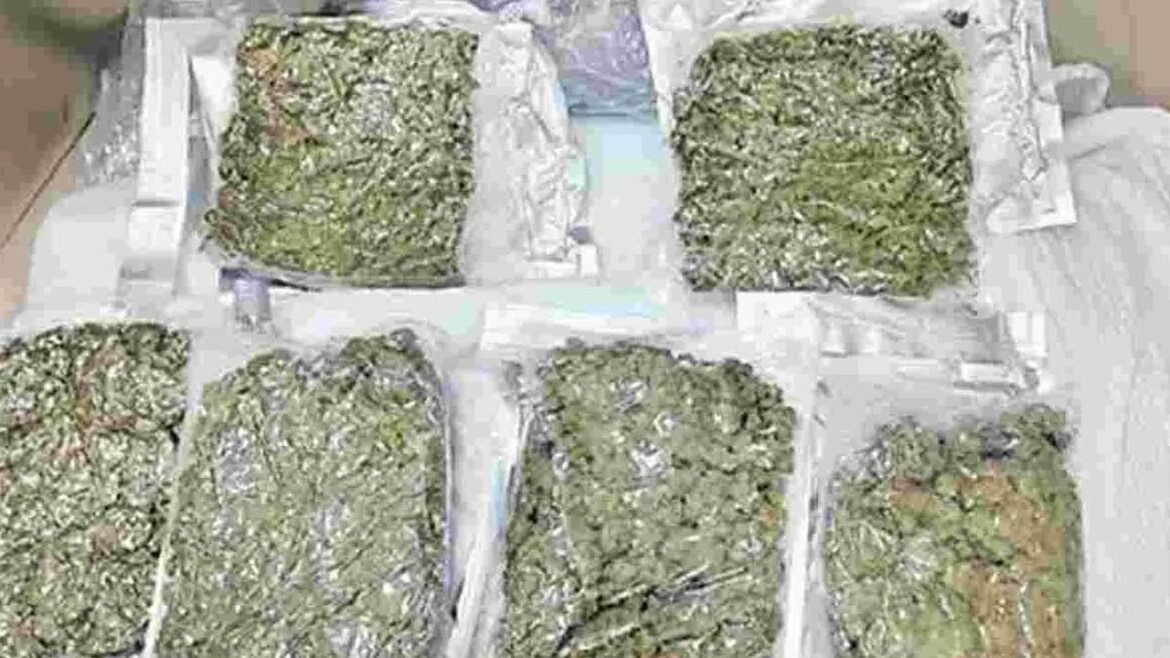 Hyderabad Ganja Seizure