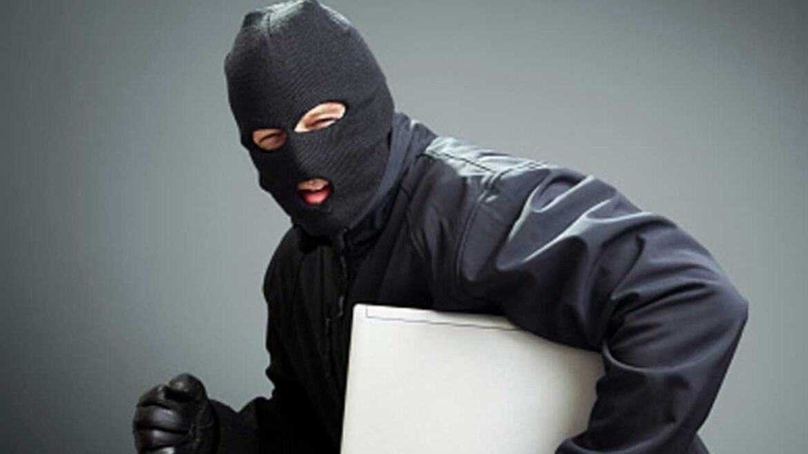 Software Employee Theft Case